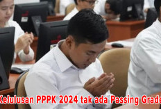 Sistem Kelulusan PPPK 2024 Tak Ada  Passing Grade, Begini Ketentuannya