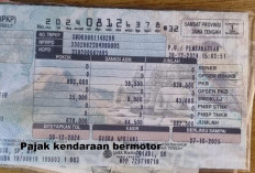 Pemilik Mobil Telat Bayar Pajak Kendaraan Bermotor, Cek Simulasi Denda 1 Bulan di Sini!
