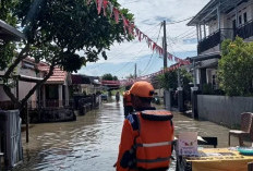 Hujan Semalam, 145 Rumah di Kota Bengkulu Terendam Banjir