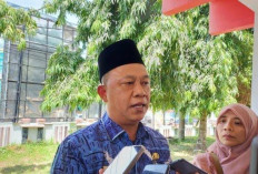 Seleksi PPPK Bengkulu 2024 Membeludak,   Cek di Sini Formasi yang Sepi Pendaftar