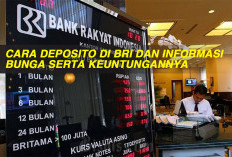 Cara Deposito di BRI dan Informasi Bunga serta Keuntungannya