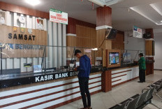 Pemprov Bengkulu Gratiskan Denda PKB 100 Persen, Warga Cukup Bayar Pajak Tahun Berjalan