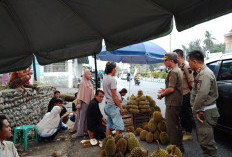 Pedagang Kaki Lima Gunakan Bahu Jalan Tebat Rukis,   Intip Tindakan Terbaru Satpol PP Bengkulu Selatan