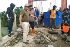 SERBU DESA! Bupati Bengkulu Selatan Bersama Masyarakat Goro Perbaiki Jembatan dan Jalan