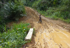 Petani Sulit Sejahtera, Hampir Seluruh Jalan Menuju Lahan Pertanian Dibiarkan Rusak Parah, Dewan Geram