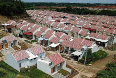 Mengapa Audit Keungan Sangat Penting Sebelum   Ambil KPR Subsidi? Berikut Ini Penjelasannya!