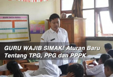 GURU WAJIB SIMAK! Aturan Baru Tentang TPG, PPG dan PPPK