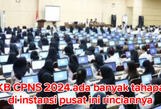 Penting Untuk Diketahui, Ini Tahapan SKB CPNS 2024 di Instansi Pusat, Berikut Rinciannya 