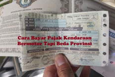 Ingin Bayar Pajak Kendaraan Bermotor Tapi Beda Provinsi, Emang Bisa? Intip Caranya di Sini!