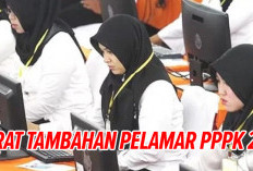 TERBARU! Syarat Tambahan untuk Pelamar PPPK 2024, Pastikan Sesuai yang Dibutuhkan Pemerintah