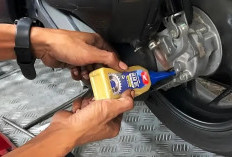 Selain Oli Mesin: Kenali, Ini 7 Ciri-ciri Oli Gardan Motor Matic Sudah Habis