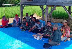 Terkait Keluhan Petani, Babinsa dan PPL Turun ke Sawah, Duduk Bersama Kelompok Tani 