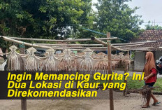 Ingin Memancing Gurita? Ini Dua Lokasi di Kaur yang Direkomendasikan