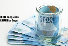 Gara-gara SLIK OJK Pengajuan KUR BRI Bisa Gagal, Intip Penjelasannya di Sini!