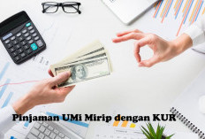 Kenal Lebih Dekat dengan Pinjaman UMi Mirip dengan KUR Loh! Cek di Sini Cara Pinjamnya