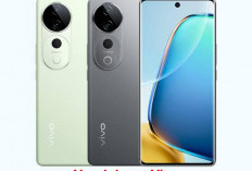 Inovasi Tak Ada Habisnya, Inilah Deretan Tipe Handphone Vivo di Indonesia! Mana Favoritmu?
