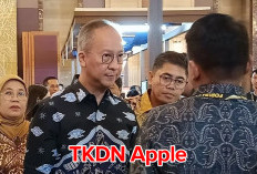 Perpanjangan Sertifikat TKDN Apple   Masih Menunggu Realisasi Investasi