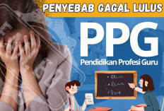 Agar Lulus Seleksi Administrasi PPG Guru, Begini Cara Menghindari Kesalahan Dalam Input Data 