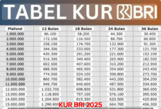 Kini KUR BRI 2025 Menjadi Terdepan Pilihan Masyarakat 