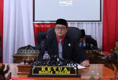 CACAM! Ratusan Tenaga Honorer di Bengkulu Selatan 3 Bulan Tak Gajian, Ketua DPRD: Kemana Anggarannya?