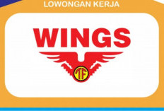 SMA/SMK dan S1 Segera Daftar, Lowongan Kerja di PT Wings Group untuk Berbagai Posisi
