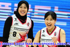 Red Sparks Kembali Semangat, Targetkan Pink Spiders Sebagai Lawan Final