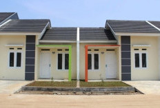 Modal Tipis Bisa Punya Rumah Sendiri! Ini 5 Pilihan Rumah Subsidi Mediun 2026 Terbaru