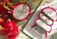 Mantap Banget! Ini Dia Manfaat Buah Naga Untuk Wajah, Cegah Penuaan Dini Loh
