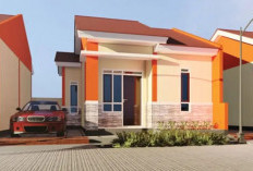 Mengintip Desain Rumah Subsidi Dilahan 6x10 Modern Minimalis dengan Penataan Ruangan yang Efisien
