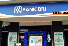 Tak Bisa dianggap Sepele, Ini Tips Ampuh Lolos Tahap Survei KUR BRI 2025!