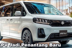 Mampukah Suzuki APV Jadi Penantang Baru di Pasar Otomatif Tanah Air, Siapa Pesaing Terkuatnya?