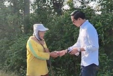 Bupati Kaur Ngantor Berjalan Kaki dan Bertemu Tim Orange, Ini yang Terjadi 