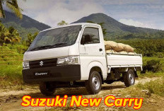 Penjualan Suzuki New Carry Melejit di Oktober 2024, Sumatera Jadi Penyumbang Terbesar