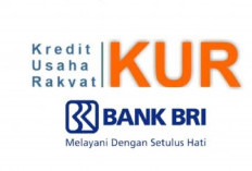 KUR BRI Langkah Meningkatkan Perekonomian UMKM, Kepoin di Sini Yuk! 