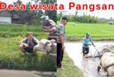 Berkonsep Agrowisata, Ini Fakta Menarik Desa Wisata Pangsan Bali