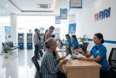 KUR BRI Rp 50 Juta Mudah Cair, Ini Strategi Lolos Survei Lapangan Wajib Diketahui UMKM