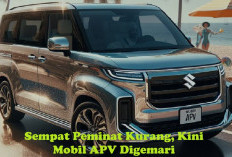 Sempat Kurang Diminati, Kini Mobil APV Digemari, Kok Bisa?