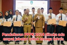 Seleksi PPPK 2024, Berikut Empat Jabatan untuk Tenaga Teknis