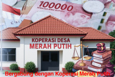 Cara Bergabung dengan Koperasi Merah Putih Bagi Anda Tertarik, Begini Tipsnya!