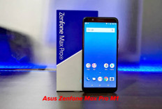 Pertimbangkan Sebelum Membeli, Ini Kekurangan Asus Zenfone Max Pro M1!