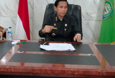 Bupati Kaur Kecam Pelaku Pencabul4n Anak, Benarkan Ayah Tiri Menjualnya? Ini Jawabannya!  