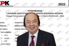Kekayaan 4 Pejabat Negara Ini Melebihi Presiden Terpilih Prabowo Subianto, Berikut Nama dan Jabatannya