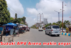 Suzuki APV Arena Makin Anyar, Terbukti di Provinsi Bengkulu Banyak Peminatnya