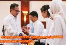 Bukan Hanya PNS, Tenaga Honorer Resmi Diangkat Menjadi PPPK Dapat Tunjangan Setiap Bulan