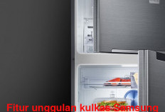 Tampil memukau, Yuk Cek Fitur Unggulan Kulkas Samsung 2025 Beserta Harganya!