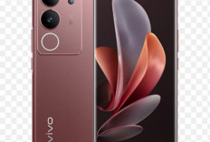 HP Vivo Y29 Tahan Tiktokan 30 Jam, Paling Murah dan Fitur Kelas Atas