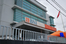 PT BNI Salurkan KUR Rp 1,7 Triliun, Sektor Ini menjadi Dominan Dalam Penyaluran