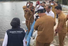 Benih Ikan Nilem Ditebar Dinas Perikanan, Inilah  Tebat Lokasi Percobaan Destinasi Wisata Baru