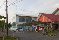 Dorong Konektivitas Wilayah 3T, Pemprov Bengkulu Usulkan Pengembangan Konektivitas Enggano 