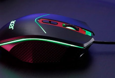 Mouse Laptop Bergerak Sendiri Bikin Frustrasi, Ternyata Ini Penyebabnya Loh!